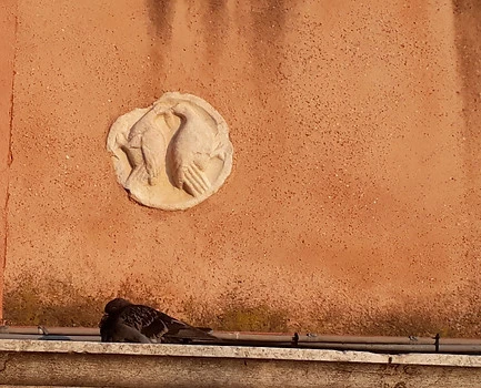 deux colombes dans un médaillon en relief sur un mur