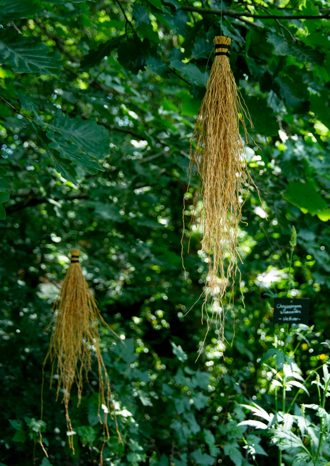 festival international jardins 2019