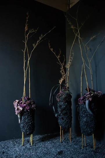 fleurs pourpres et charbon