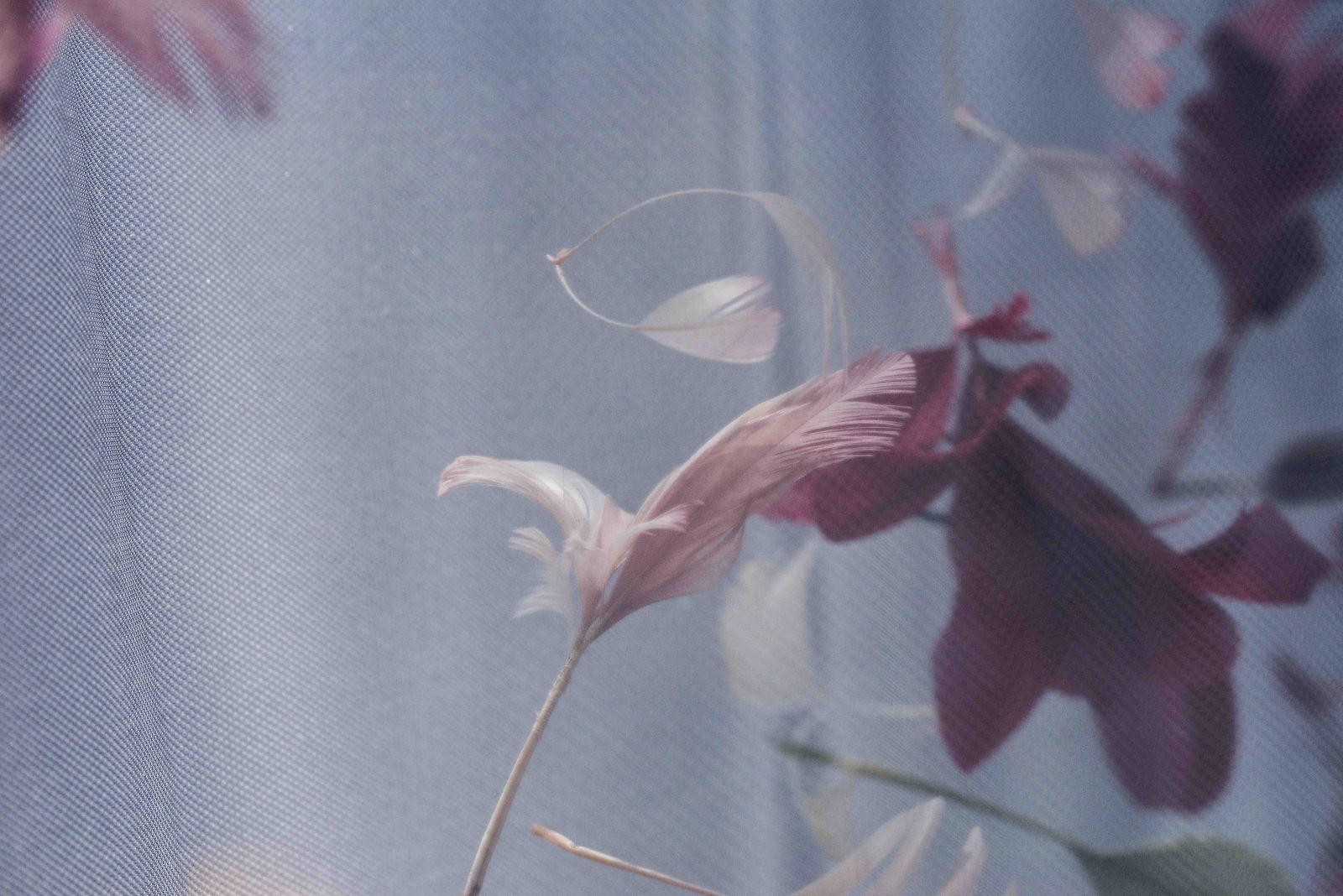 hortense-rossignol-graphisme-festival-jardins-chaumont-056