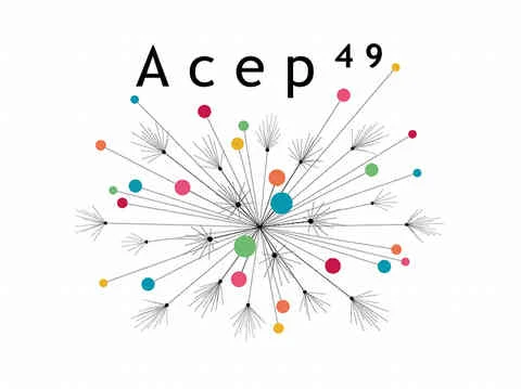 logotype-acep49.jpg
