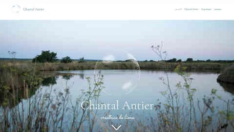page d'accueil du site de Chantal Antier avec logo blanc, texte blanc et paysage avec de l'eau et des herbes et un ciel bleu