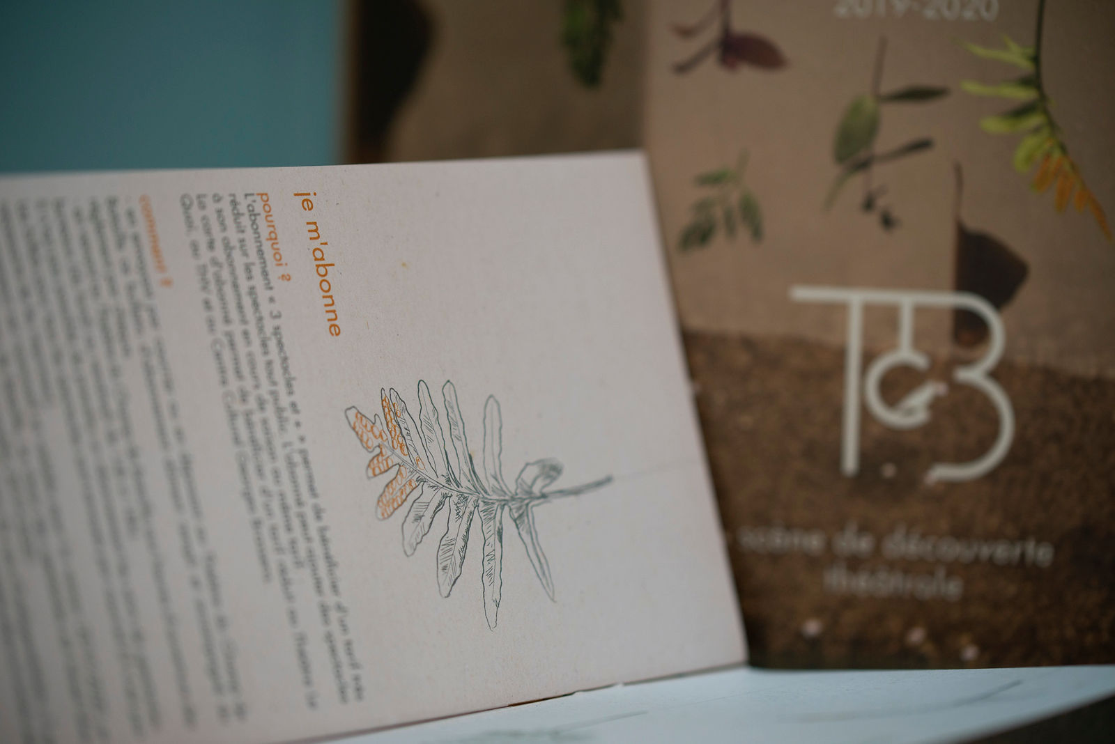 prospectus avec texte et illustration