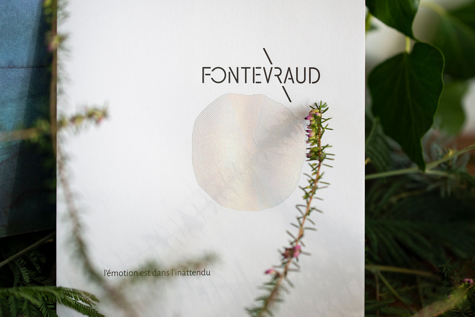 fontevraud-hortense-rossignol-graphisme1