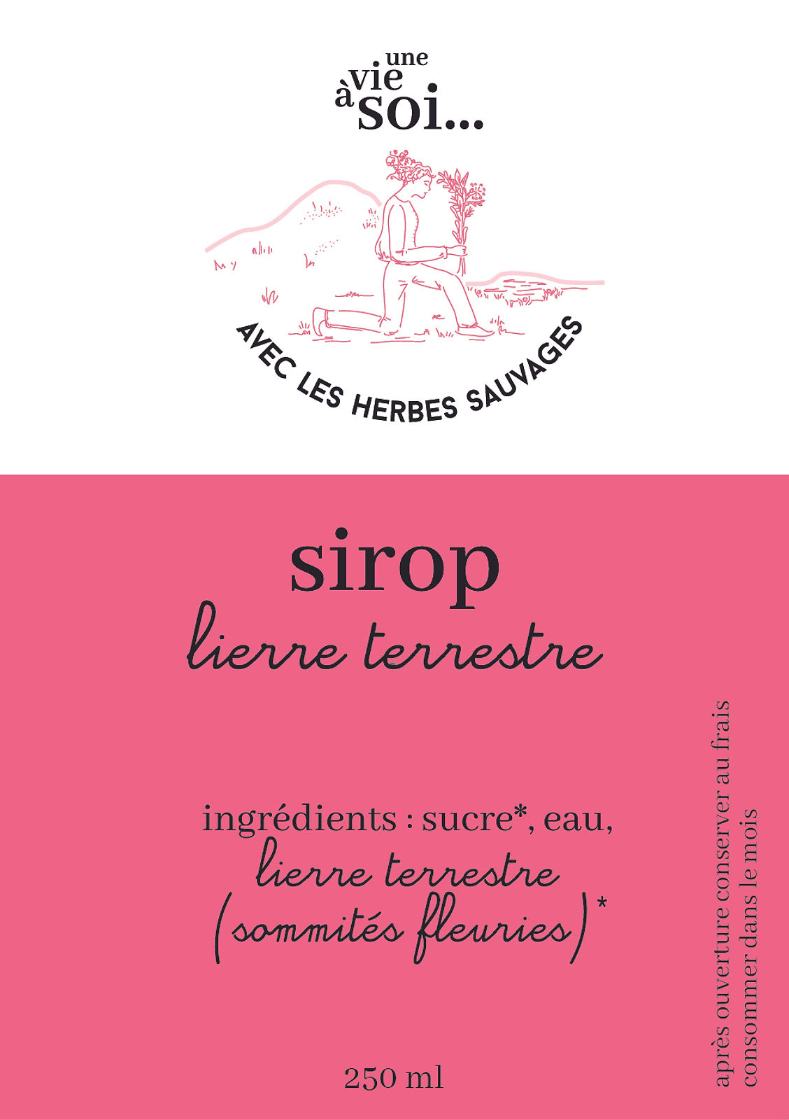une-vie-a-soi-etiquettePlan de travail 2