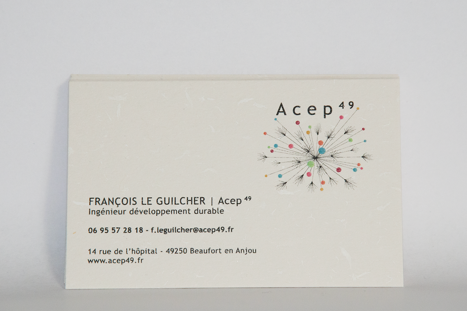hortense-rossignol-graphisme-angers