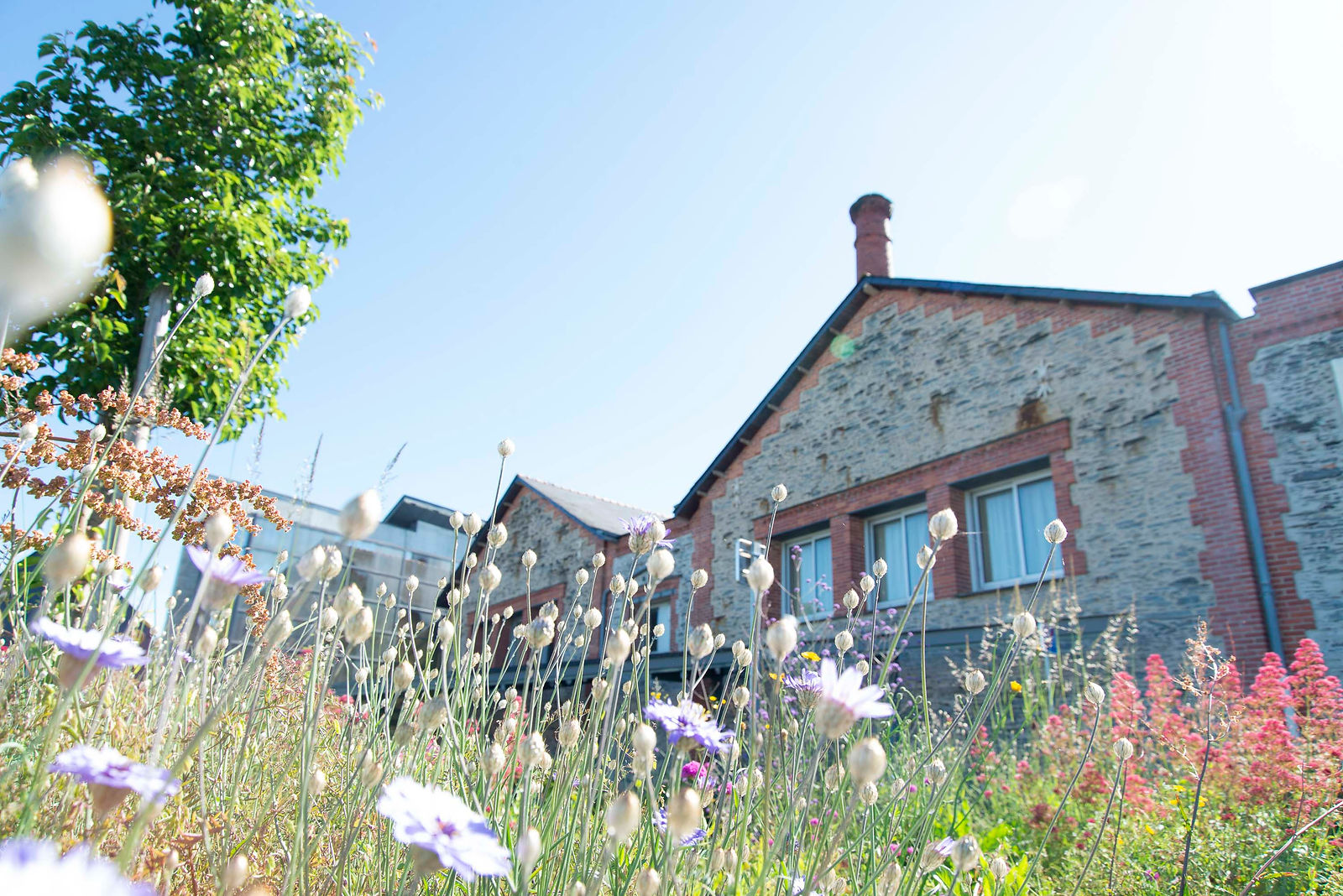 ecole-dutilleuxtrelaze_19