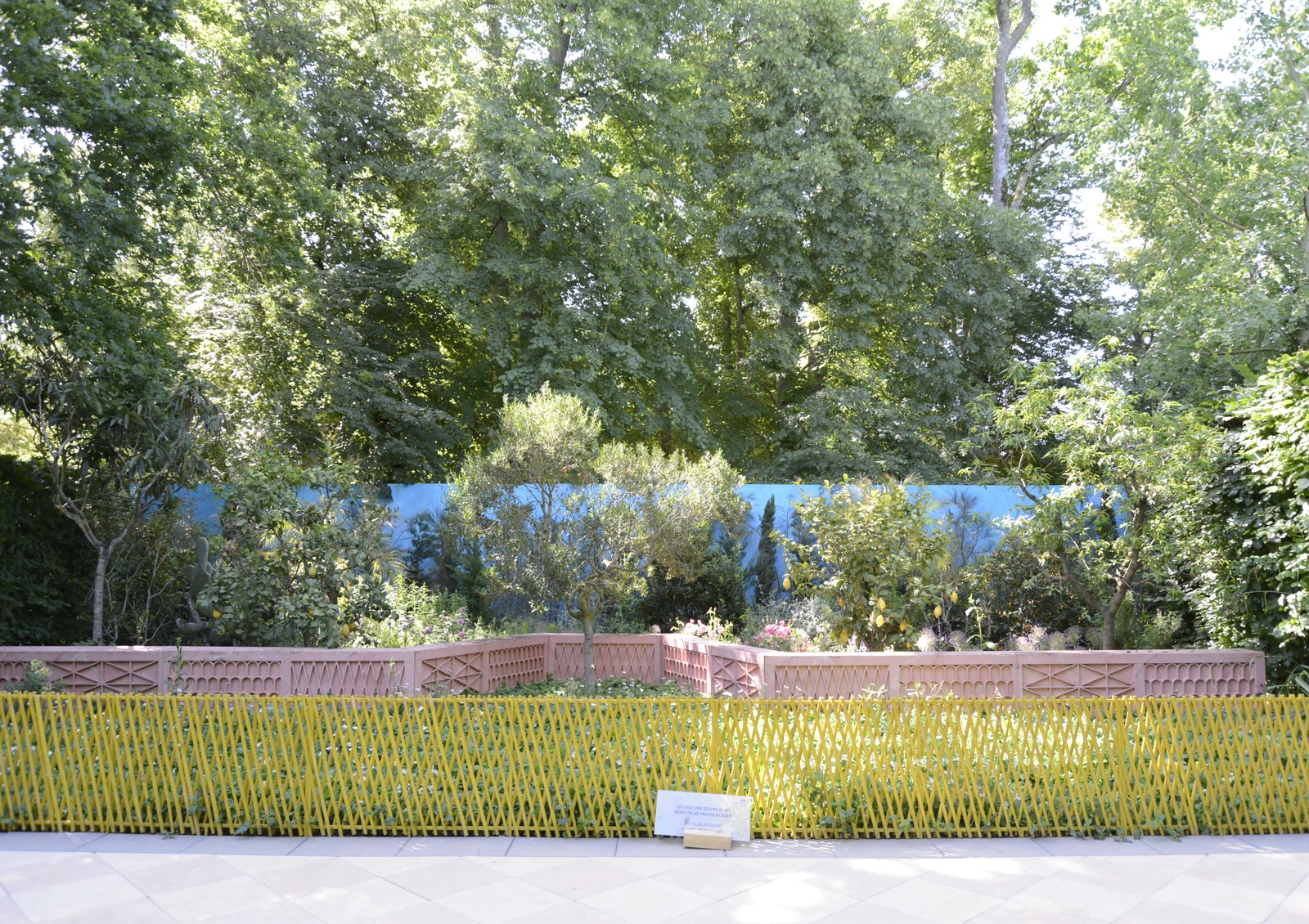 _DSC9596.JPG