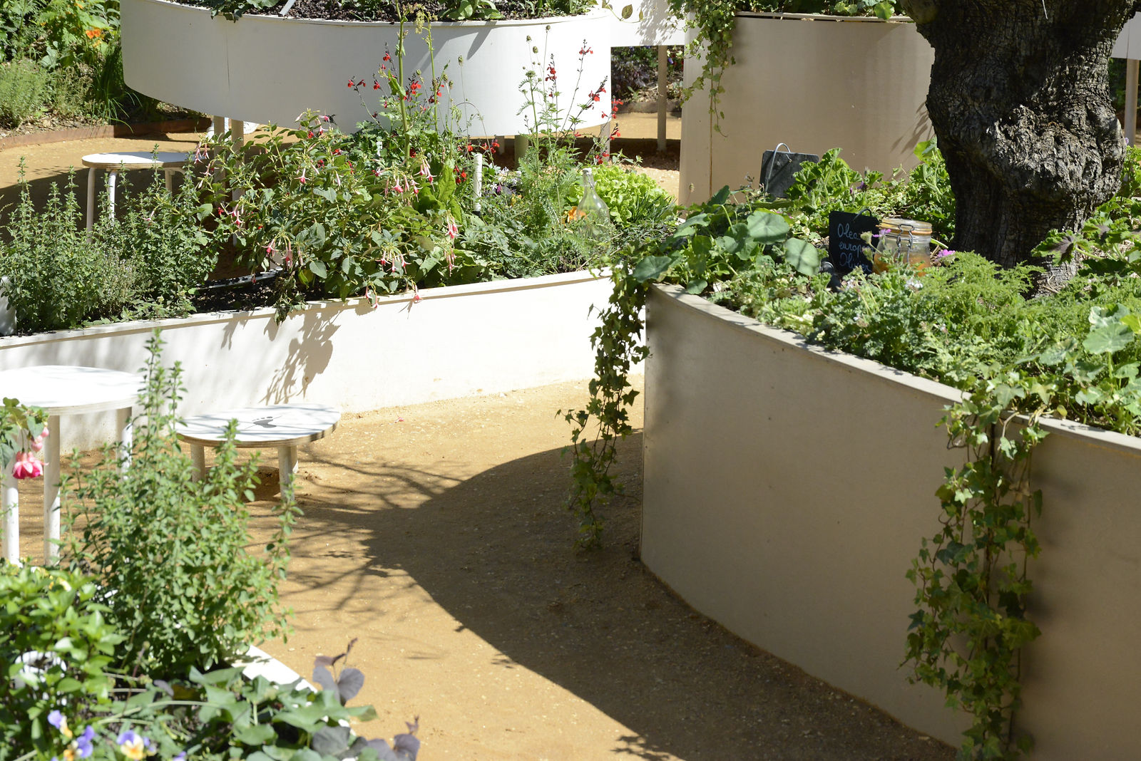 _DSC9633.JPG