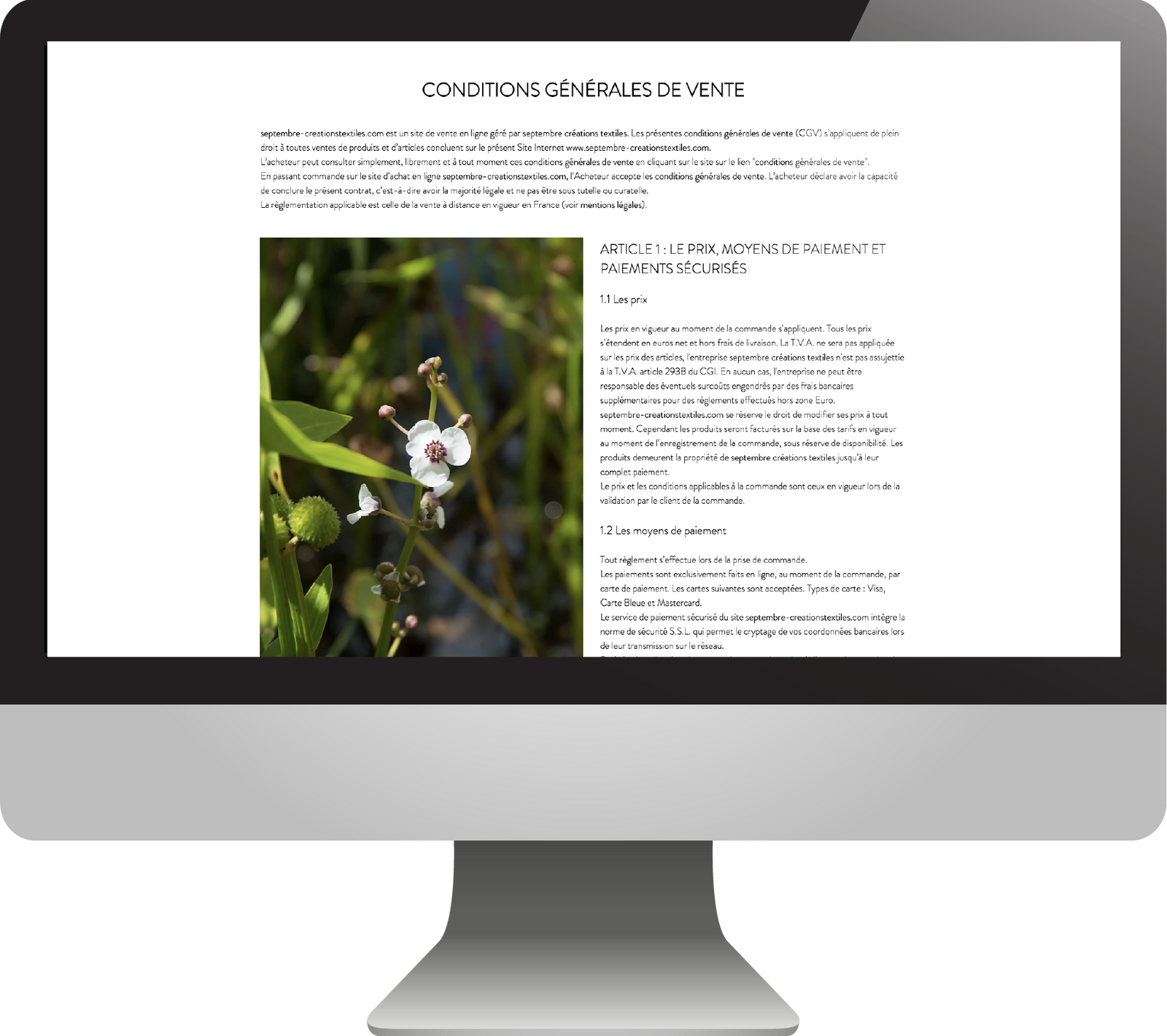 hortense-rossignol-graphisme-angers-site-ecommerce-14