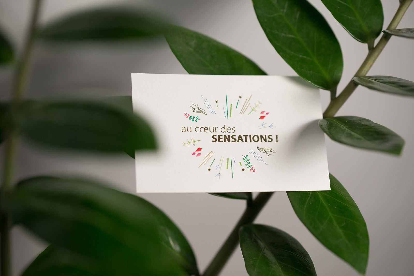 carte au cœur des SENSATIONS !