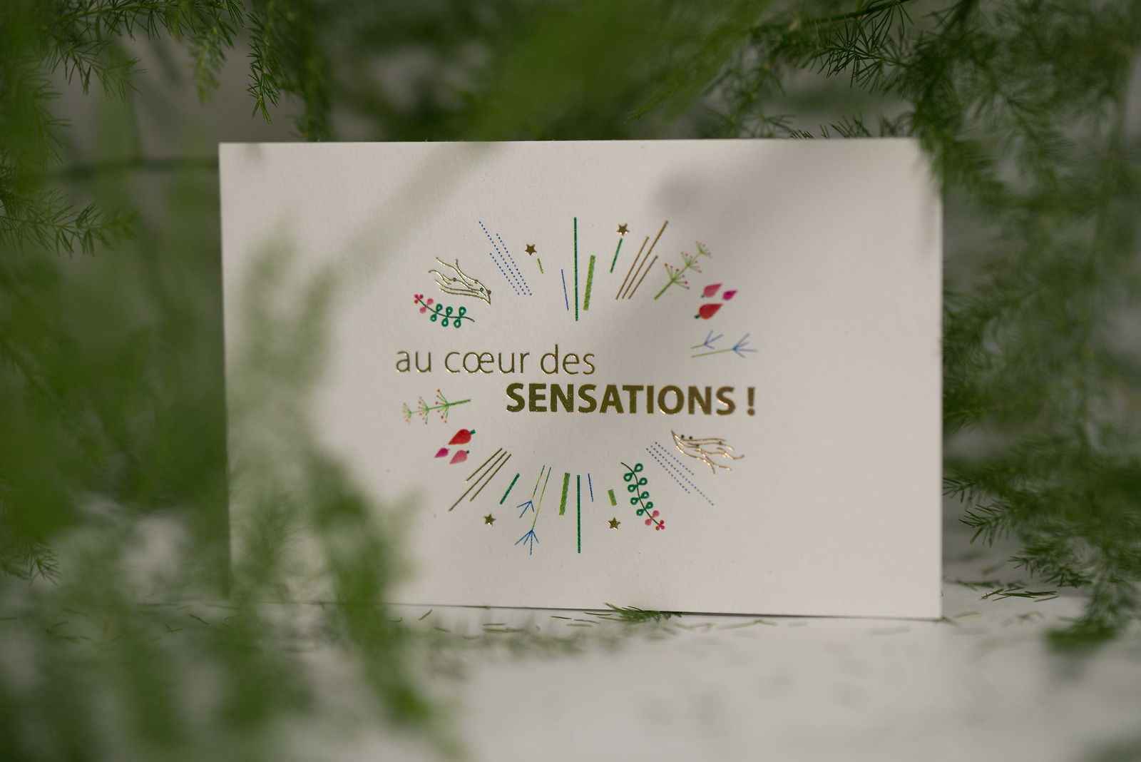 carte de visite MAC or et couleur