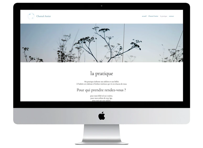 page de pratique professionnelle sur site web