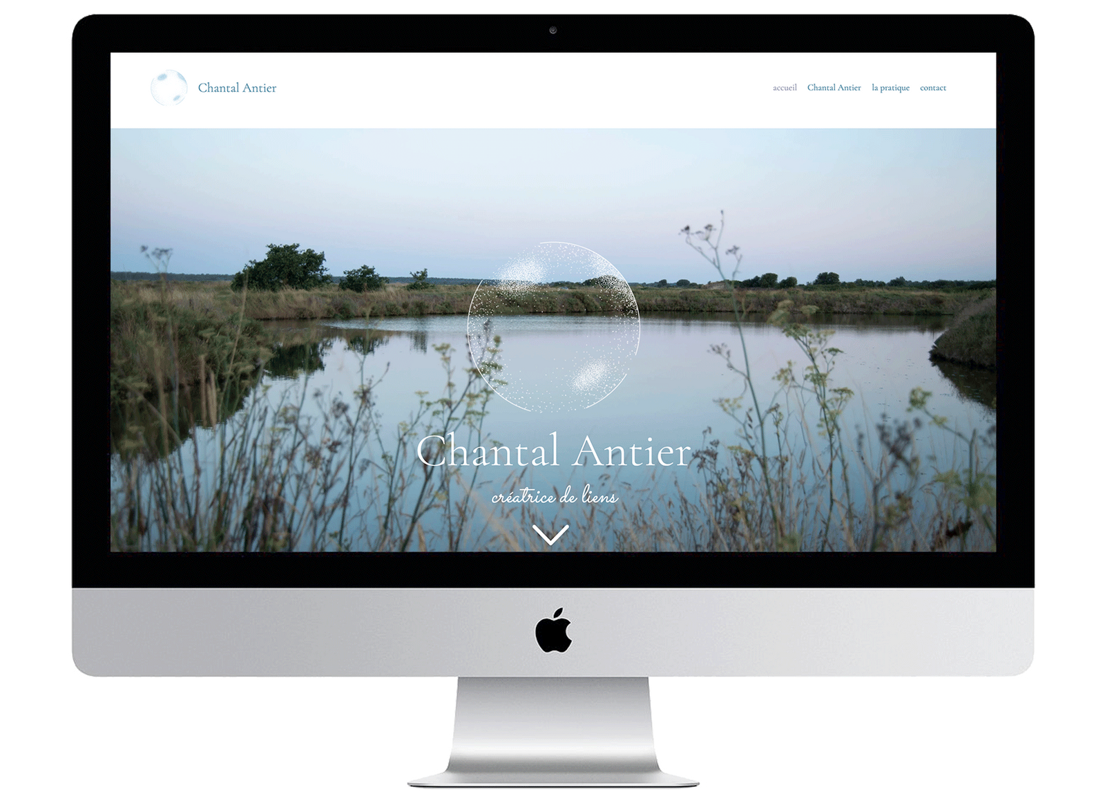site_web_chantal_antier