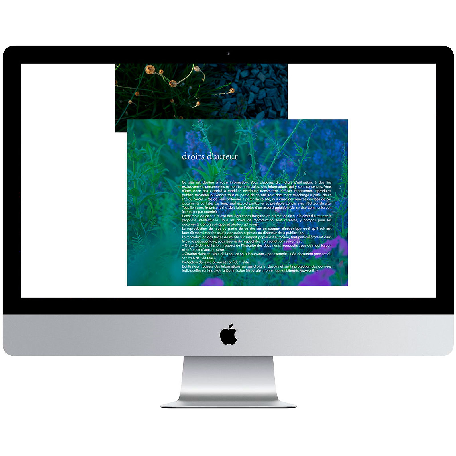 site-internet-dutilleux-mentions