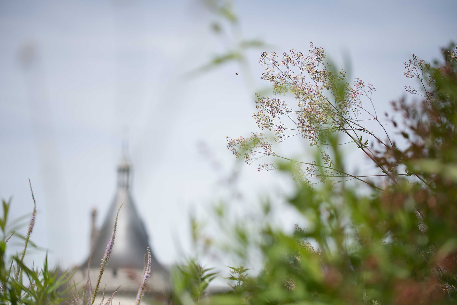 hortense-rossignol-graphisme-festival-jardins-chaumont-032