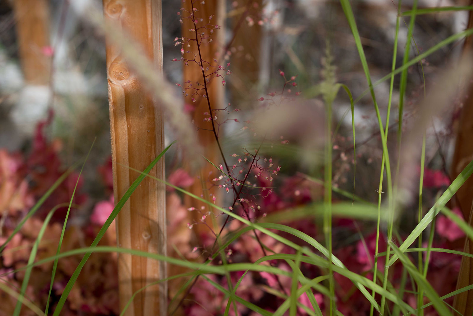 hortense-rossignol-graphisme-festival-jardins-chaumont-113