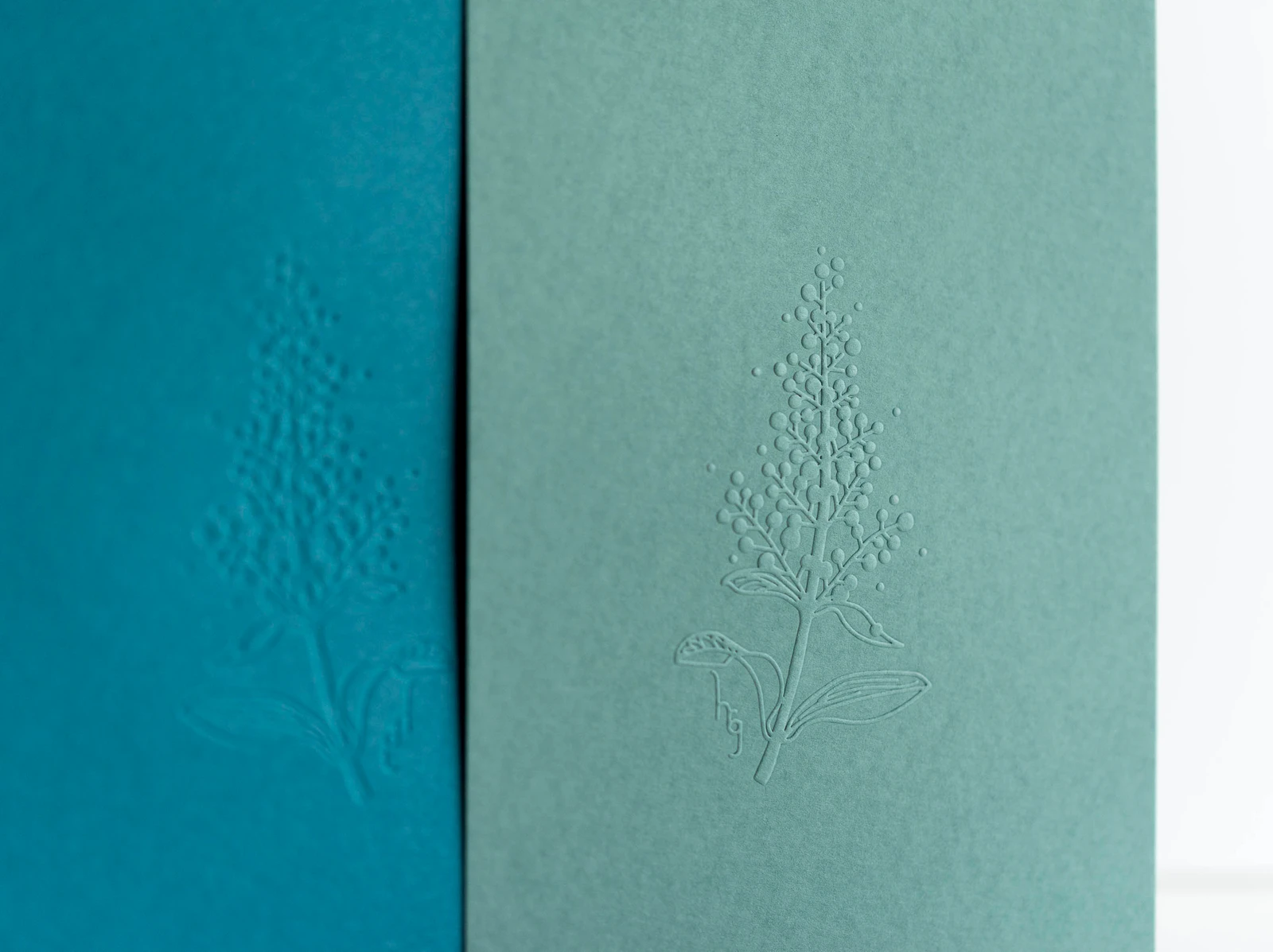cartes de vœux bleu paon et vert