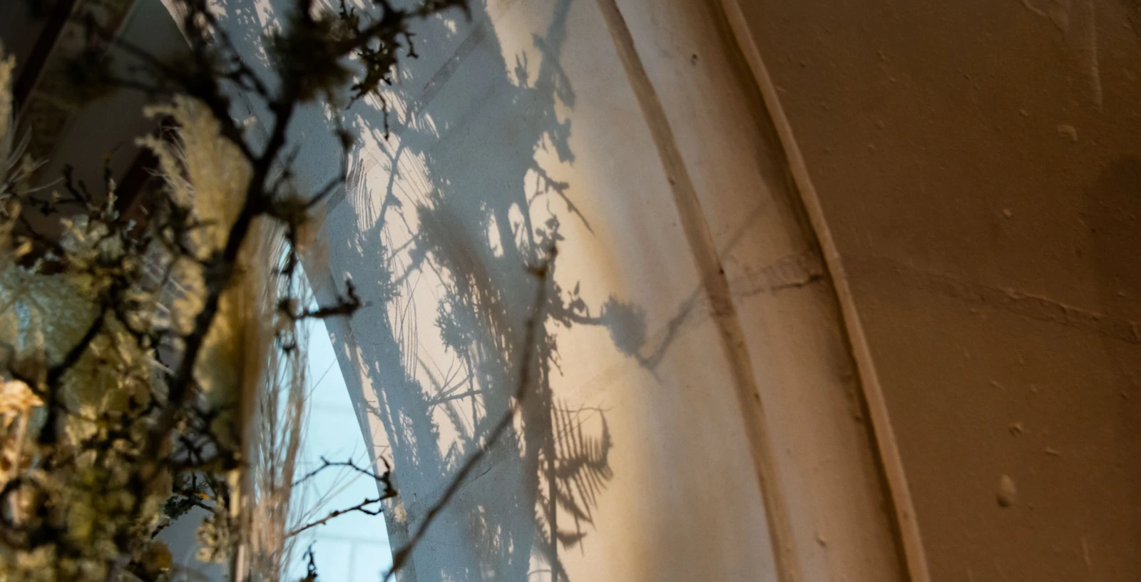 branchages et fleurs devant un mur de tuffeau