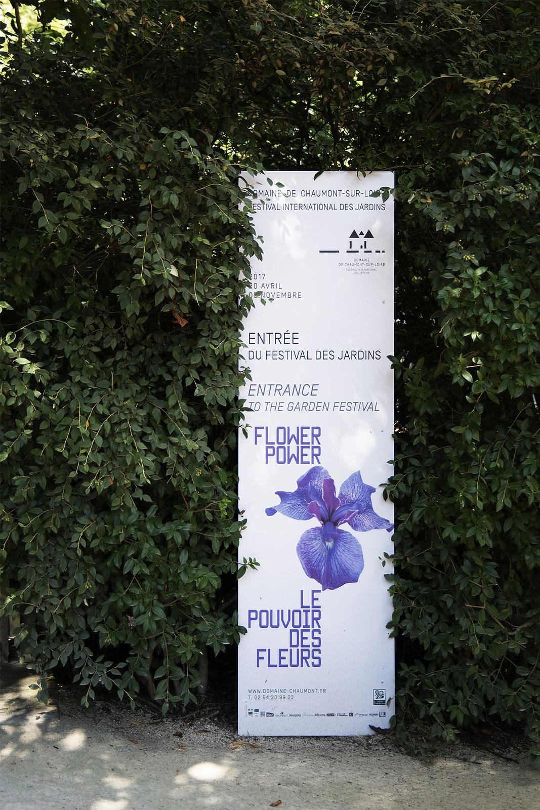 hortense-rossignol-graphiste-angers