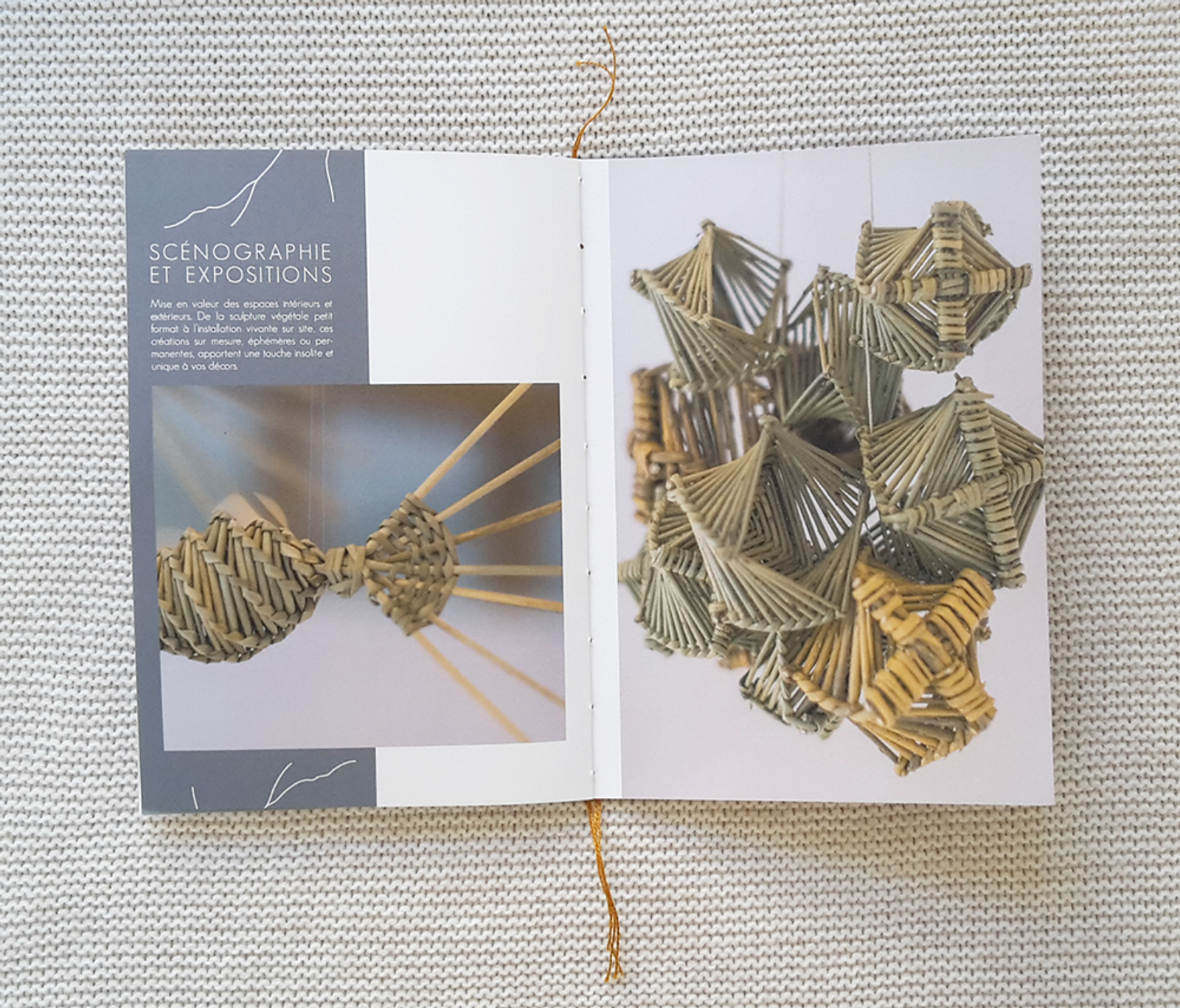hortense-rossignol-graphisme-ABM5.png