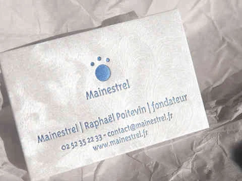 carte-de-visite-mainestrel_3_edited.jpg