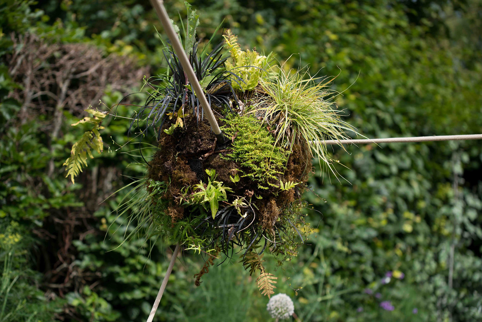 hortense-rossignol-graphisme-festival-jardins-chaumont-119