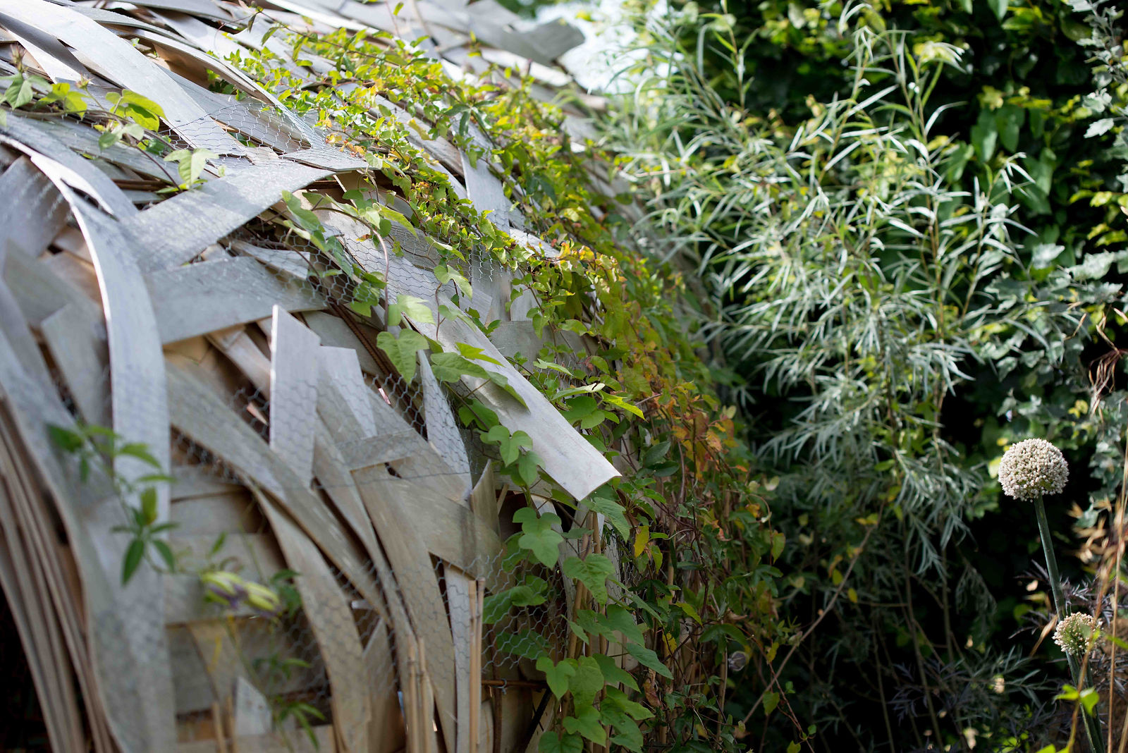 hortense-rossignol-graphisme-festival-jardins-chaumont-120
