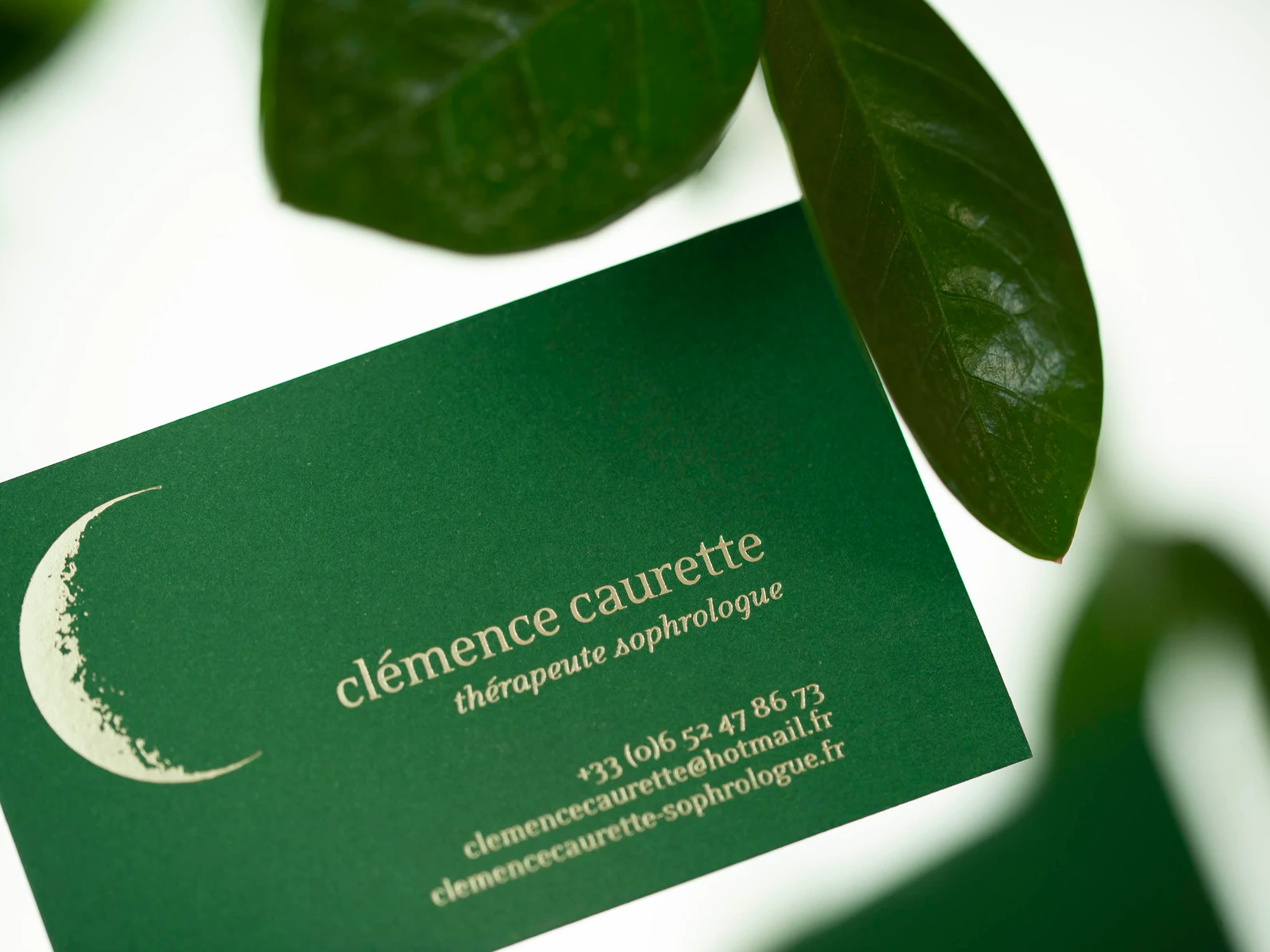 Carte de visite en marquage à chaud or pâle sur papier vert sous une feuille d'arbre