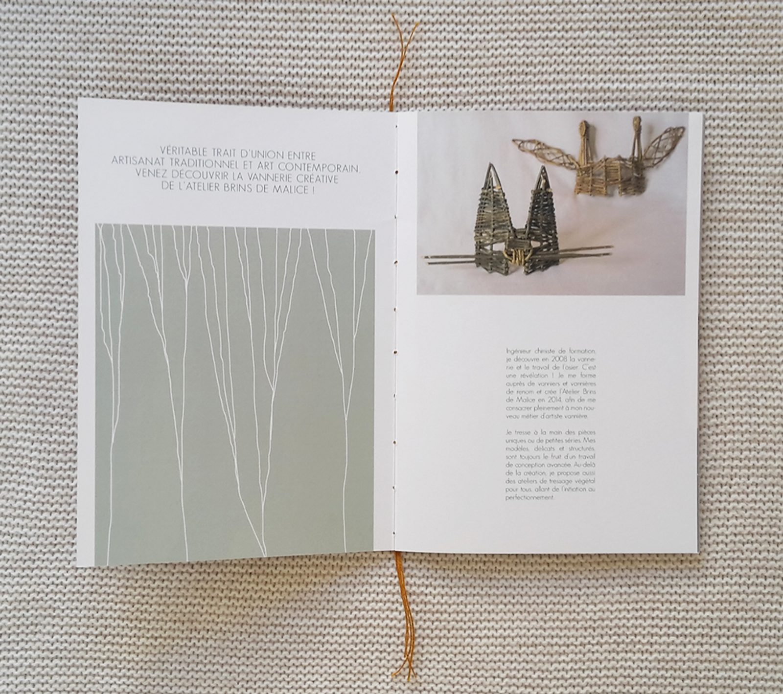 hortense-rossignol-graphisme-ABM8.png