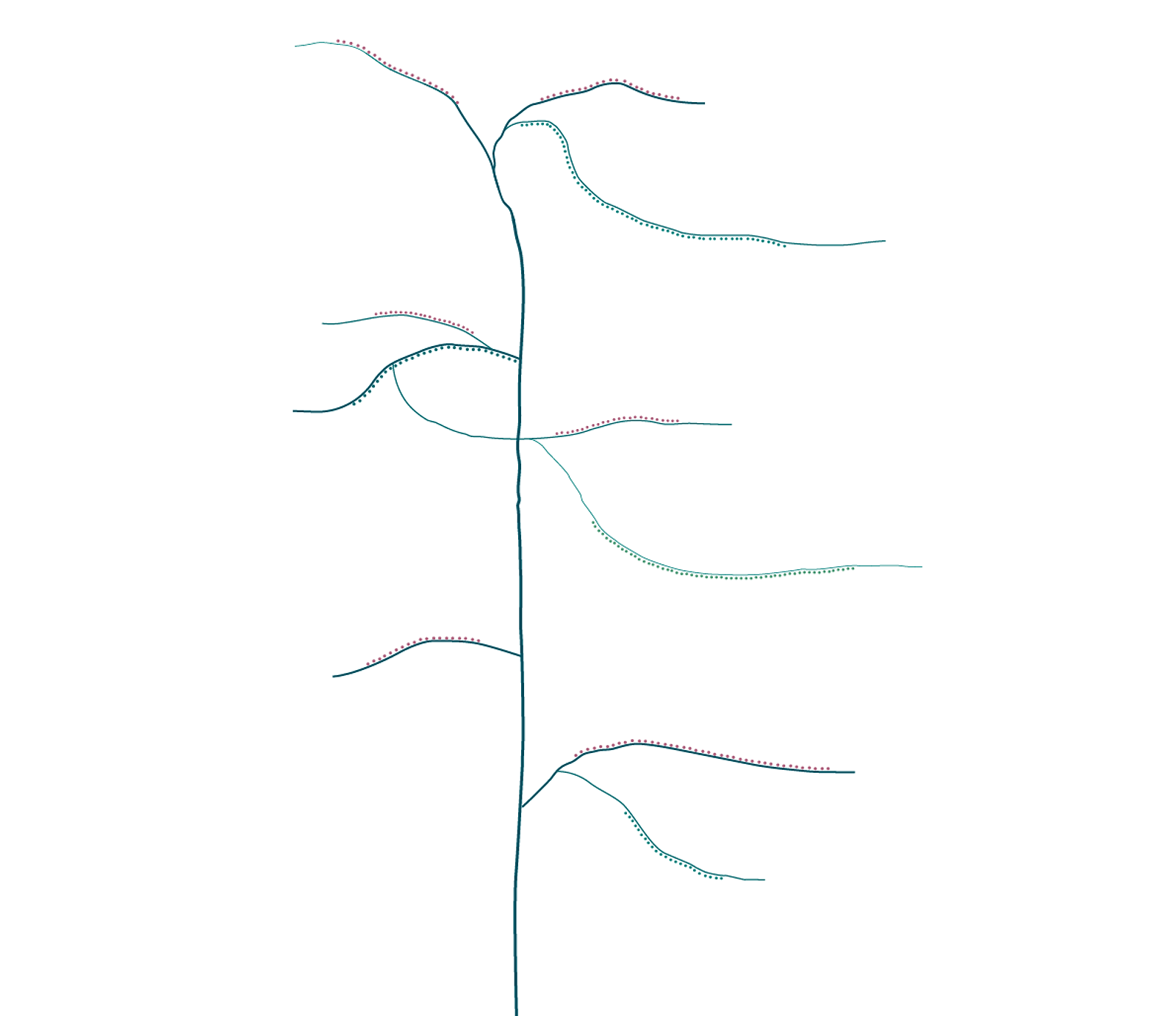 dessin d'arbre