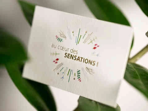 carte-de-visite-hortense-rossignol032_edited.jpg