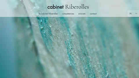 page d'accueil du cabinet Riberolles avec bois peint