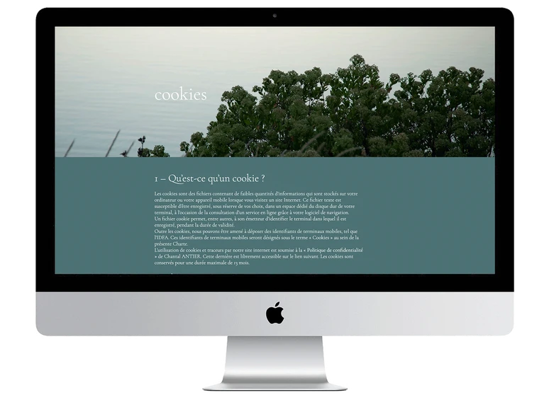 cookies de site web