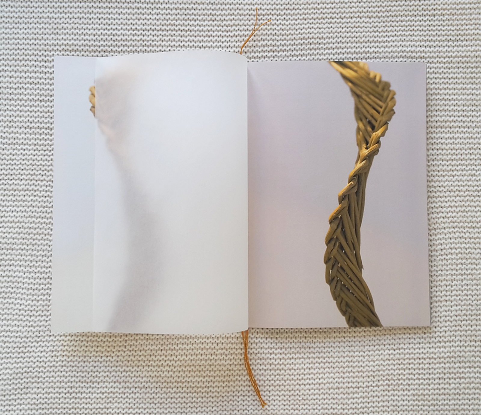 hortense-rossignol-graphisme-ABM9.png