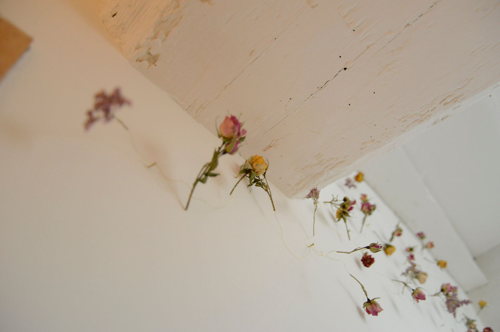 installation murale in situ