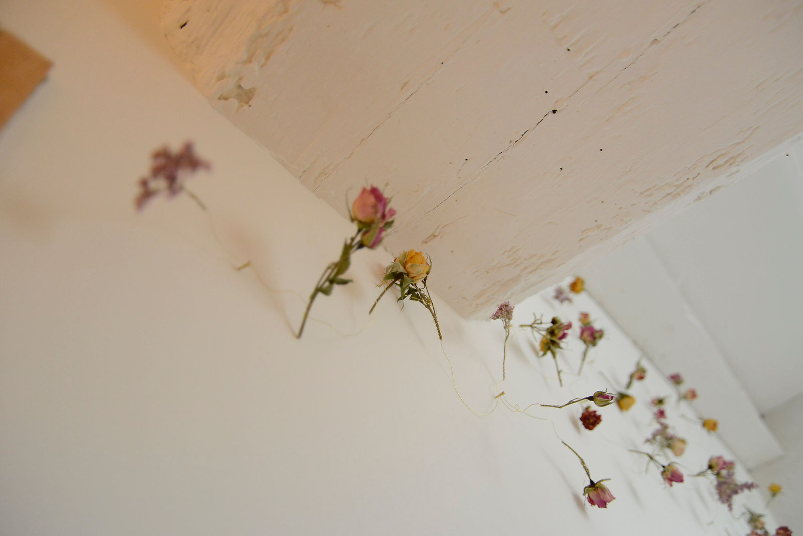 installation-peau-ethic-light-036