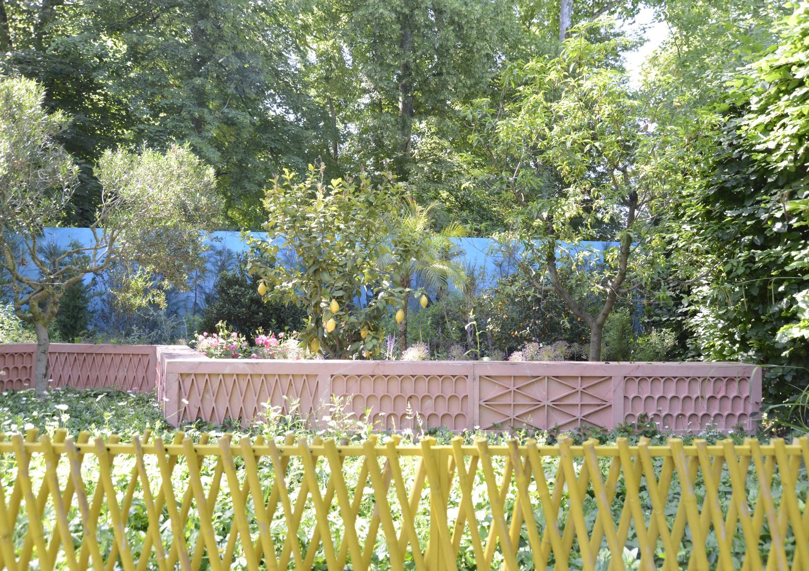 _DSC9598.JPG