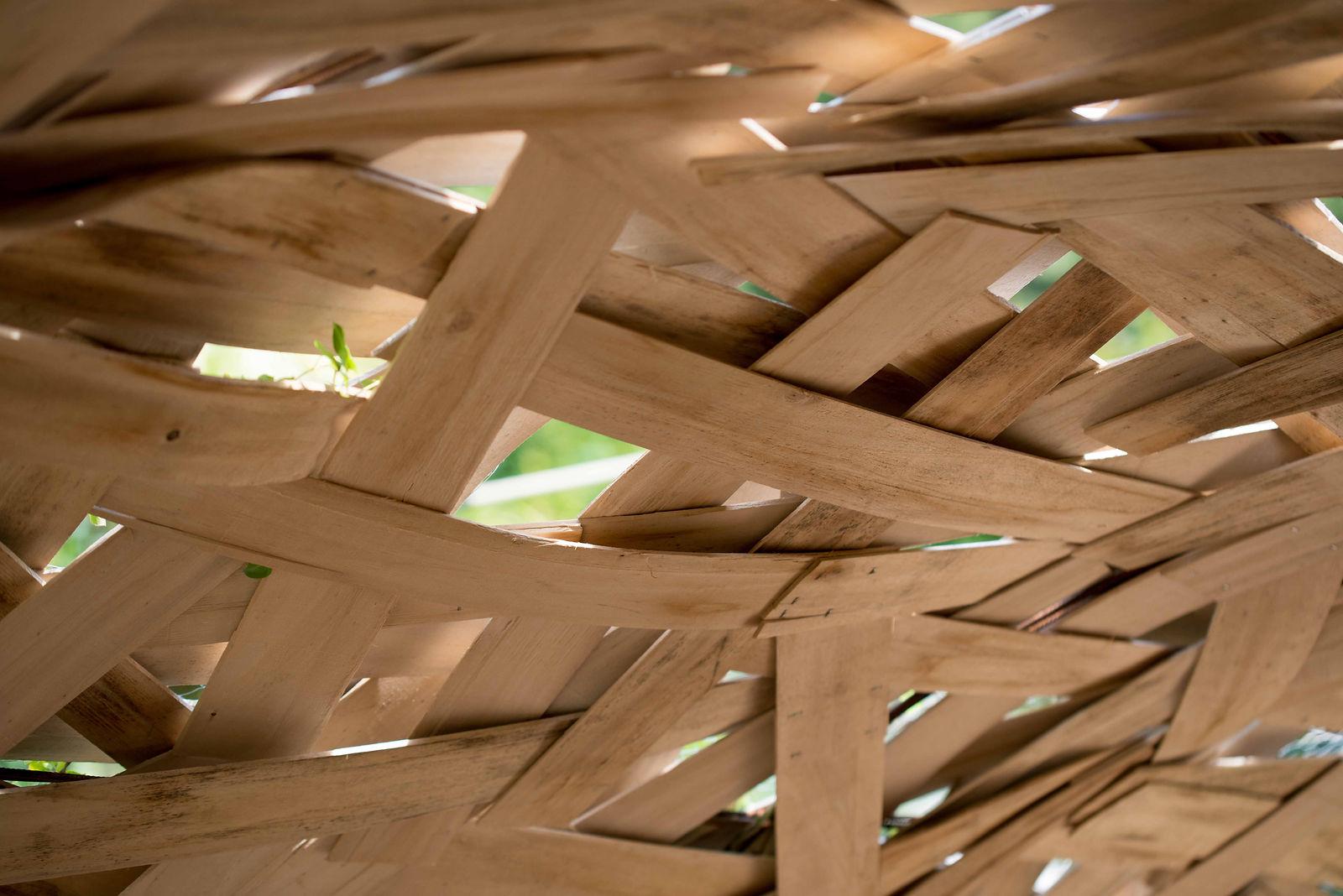 hortense-rossignol-graphisme-festival-jardins-chaumont-115
