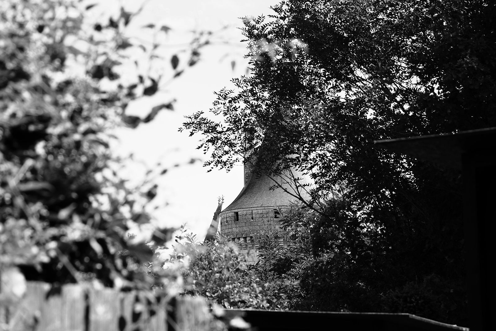 hortense-rossignol-graphiste-angers-photographie-chaumont_DSC2099.jpg