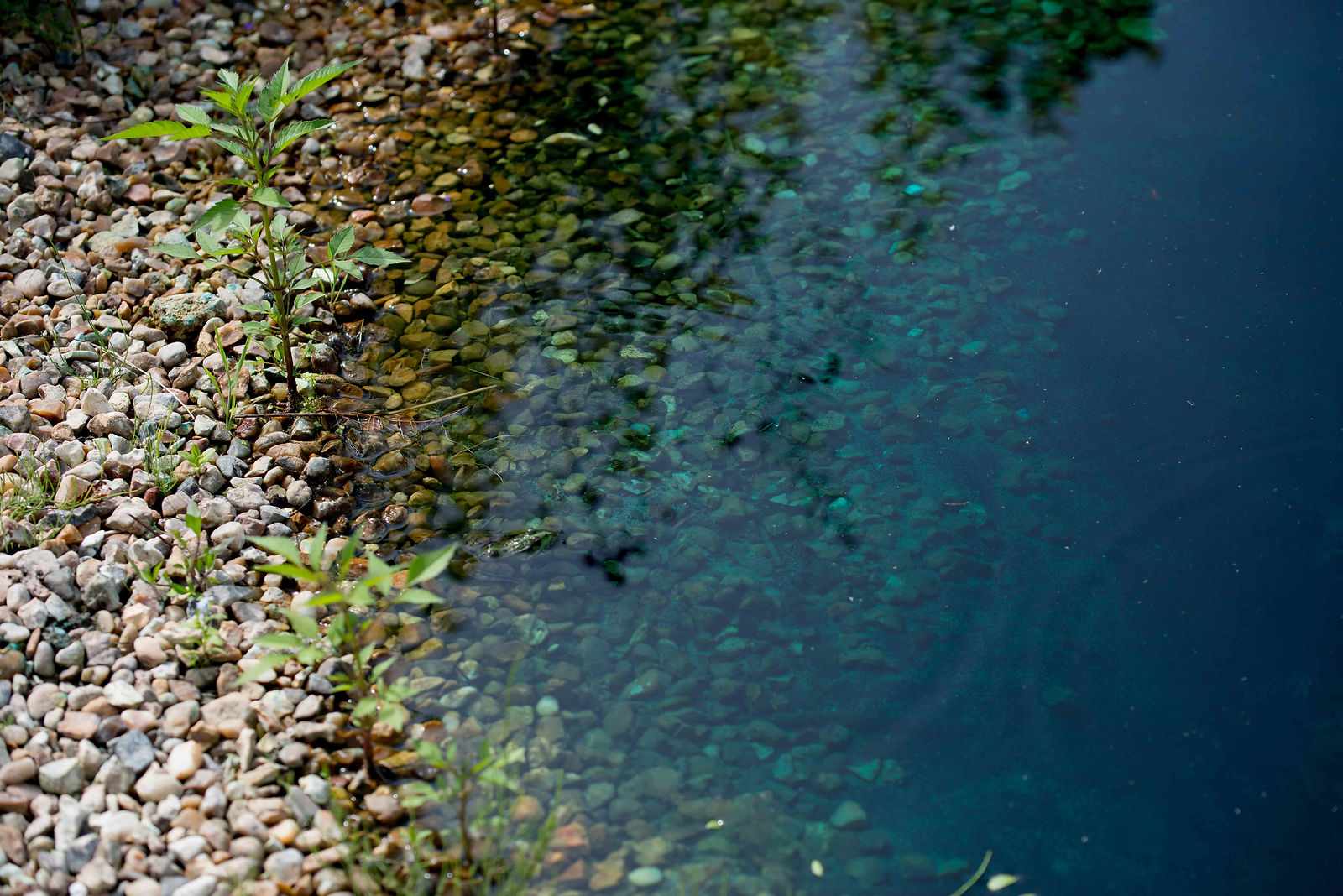 hortense-rossignol-graphisme-festival-jardins-chaumont-092