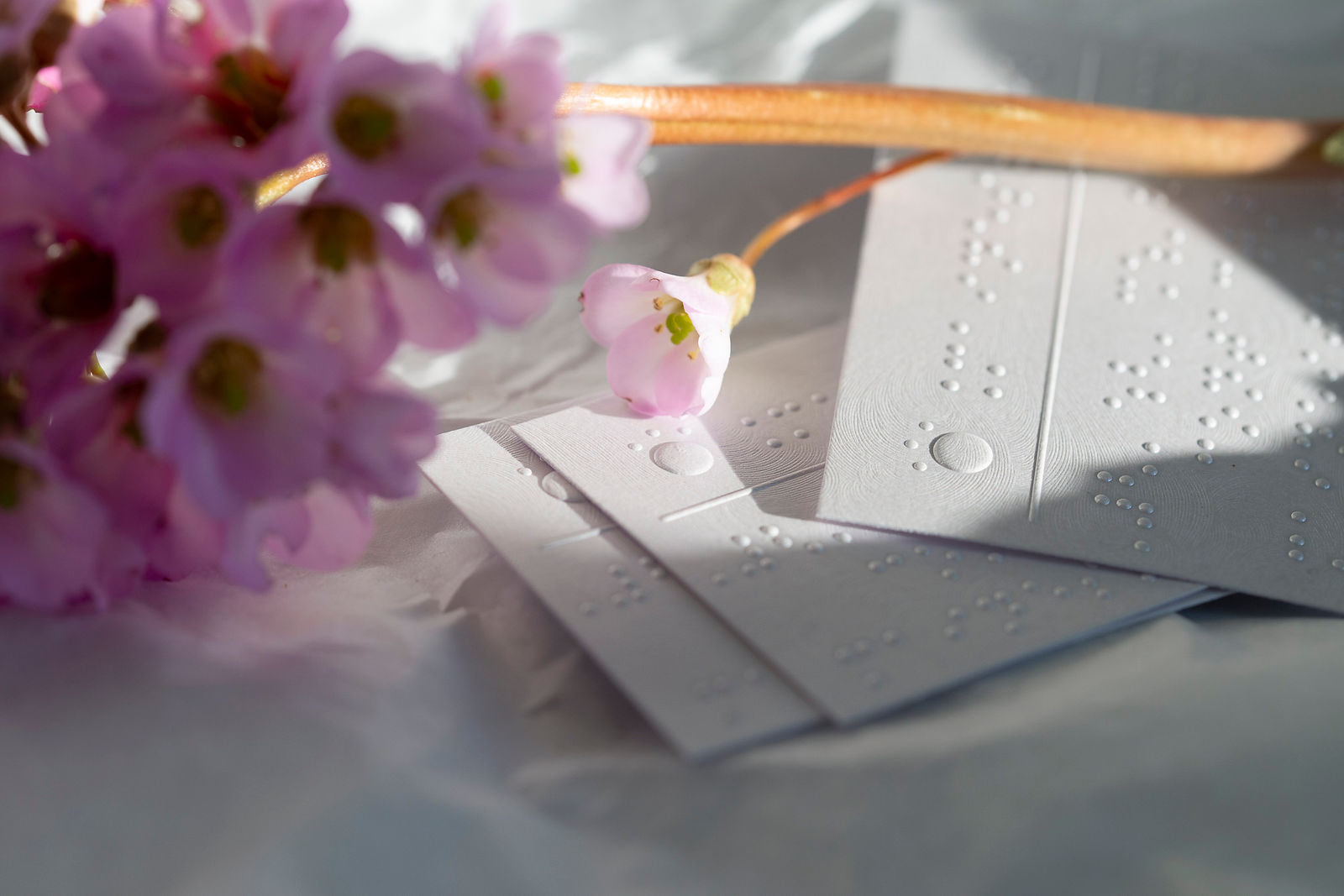 CARTE DE VISITE BRAILLE MAINESTREL