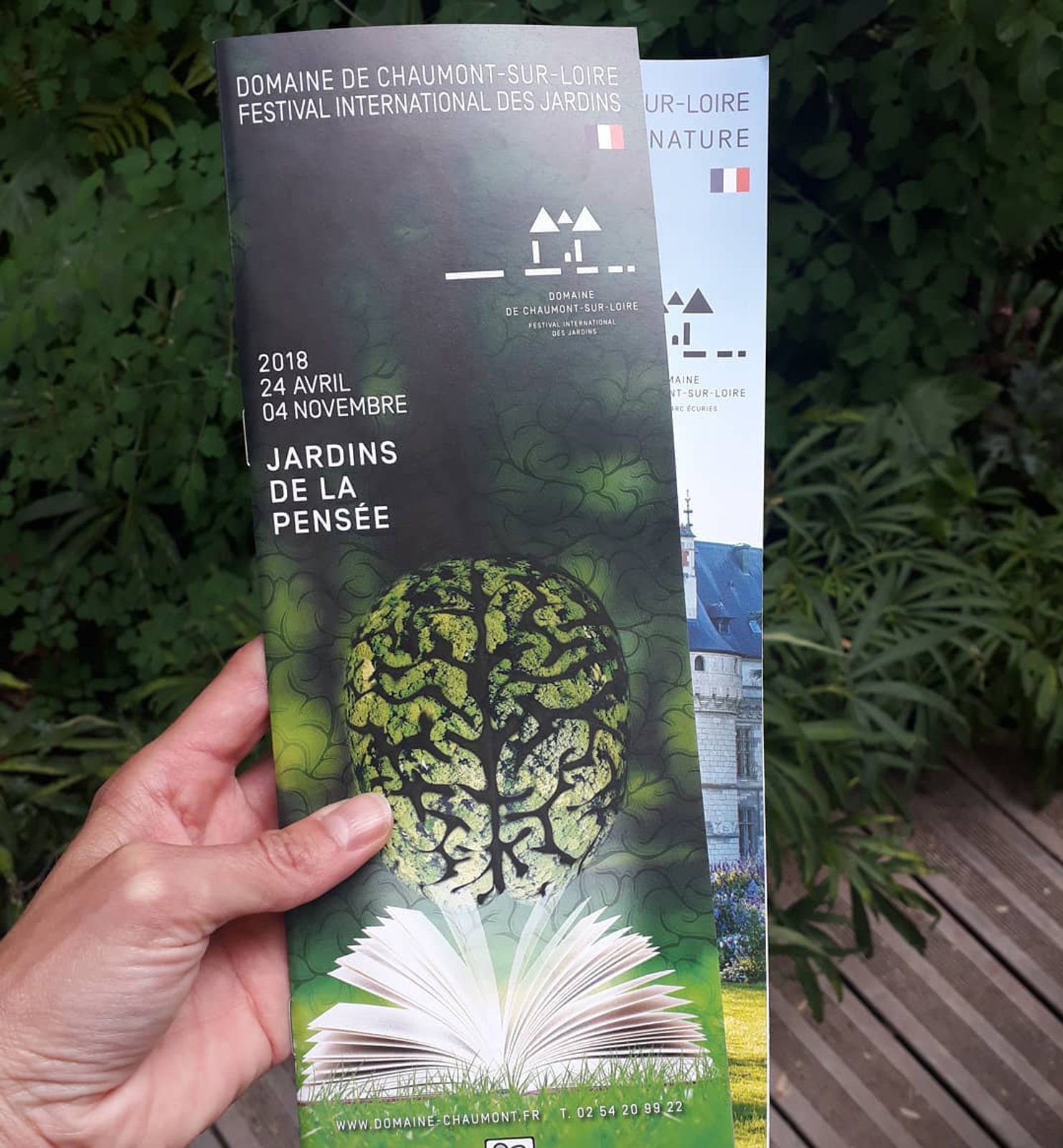 immersion végétale