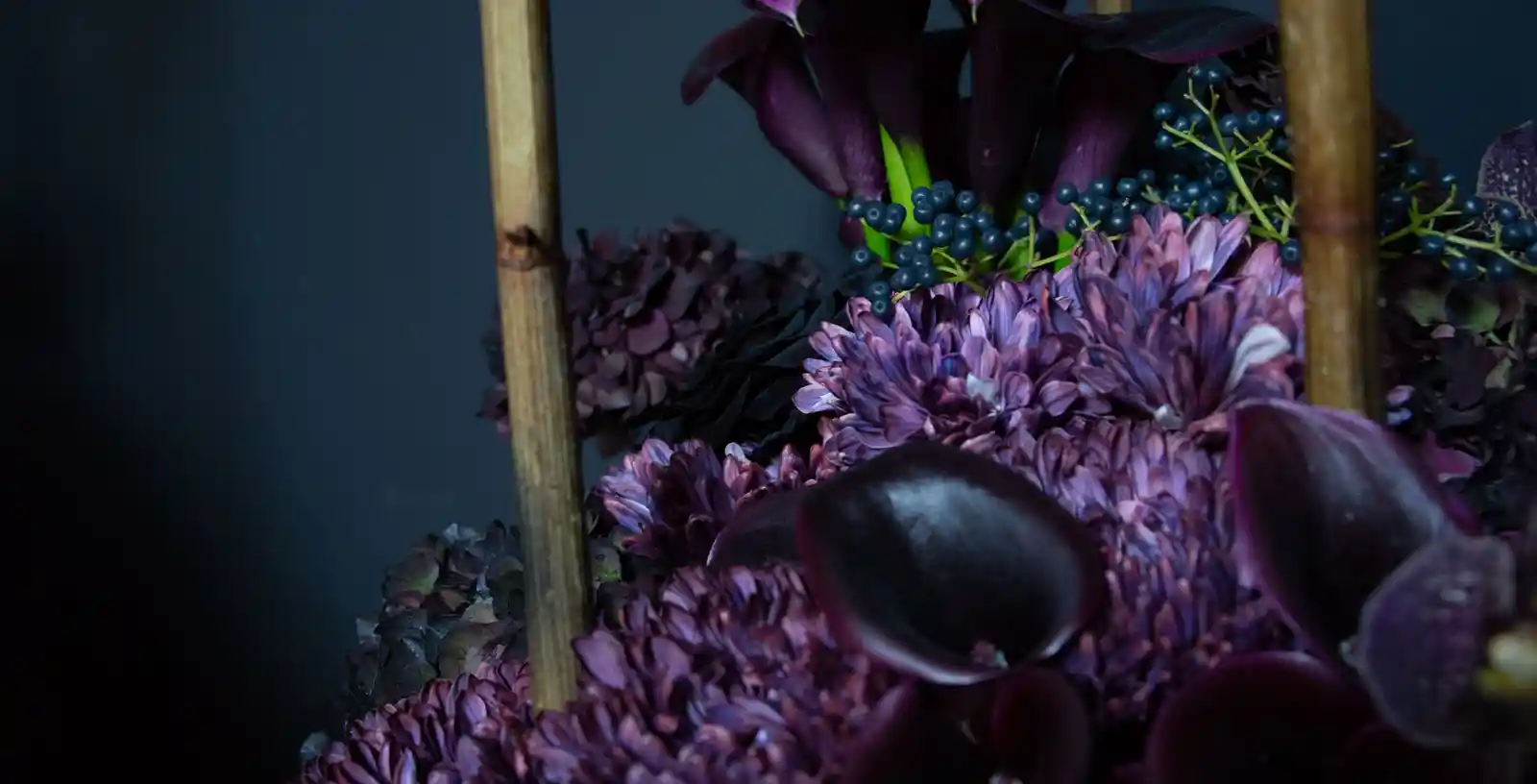 fleurs violettes et pourpres