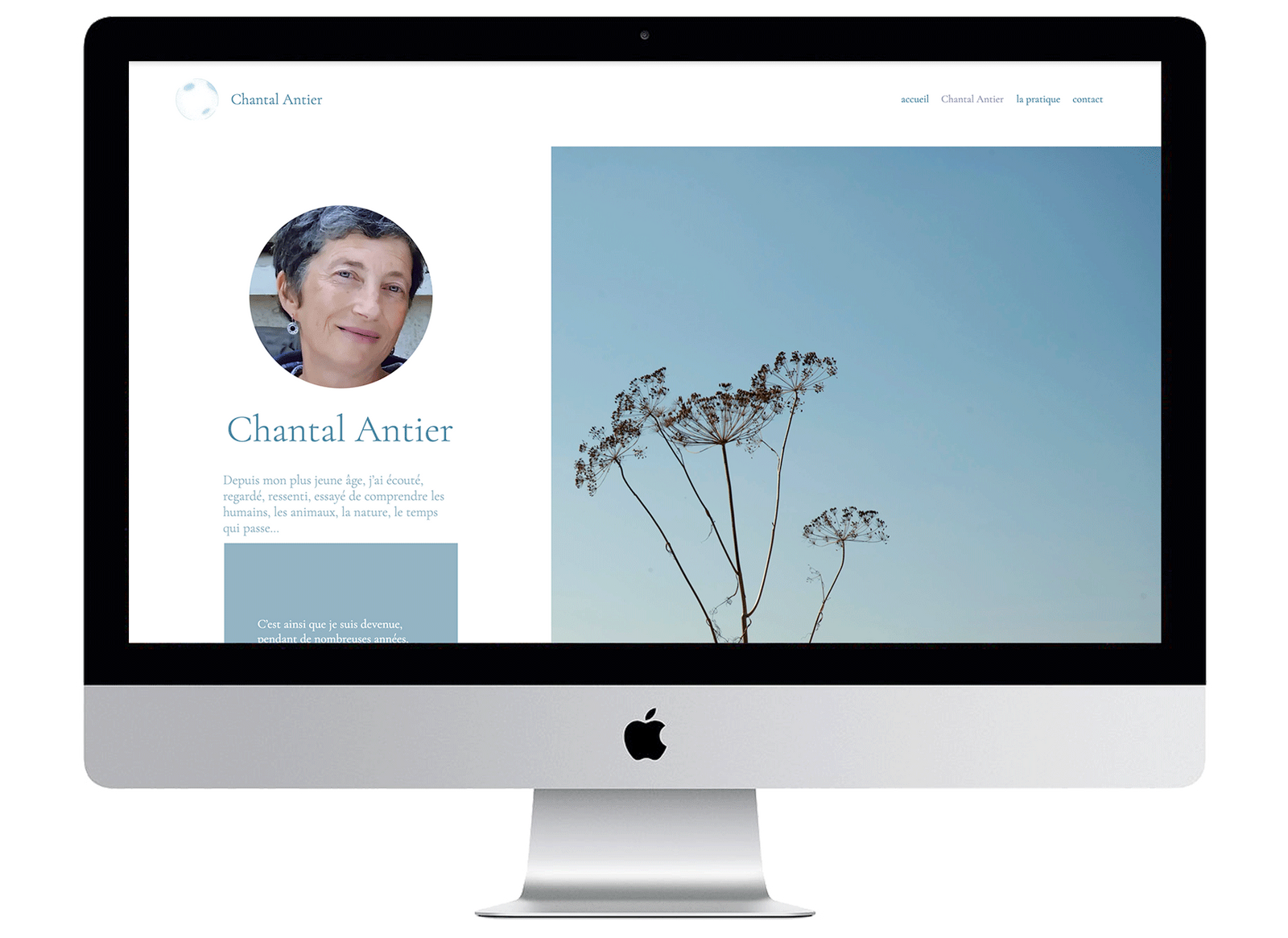 22-CHANTAL-MES-imac-7