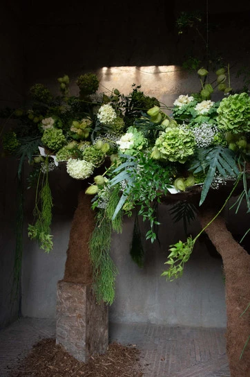 fleurs vertes et blanches