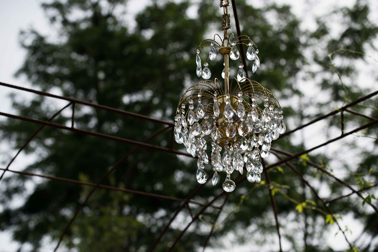 lustre en cristal dans un arbre